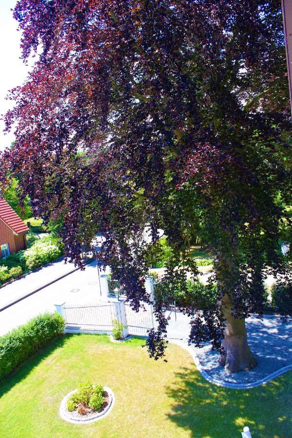 Rosen Villa Kappeln Ngoại thất bức ảnh