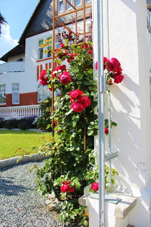 Rosen Villa Kappeln Ngoại thất bức ảnh